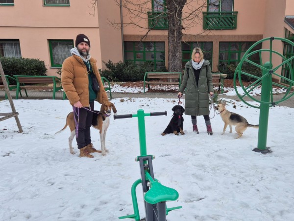 23040fcc-b6e4-4a18-8730-0c0f7d193292.JPG, 79kB