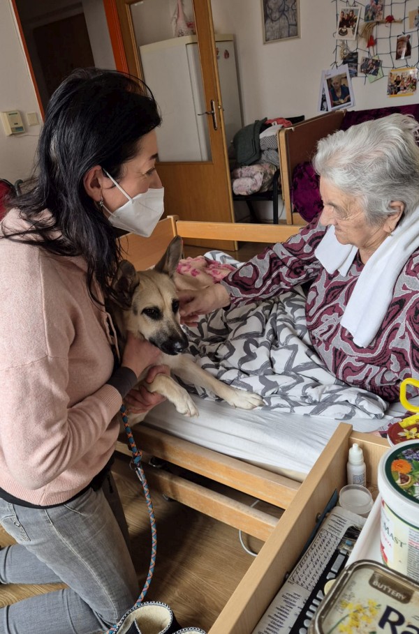 2c3638c1-ebdb-42bb-9a27-5b4b3c2df192.JPG, 161kB