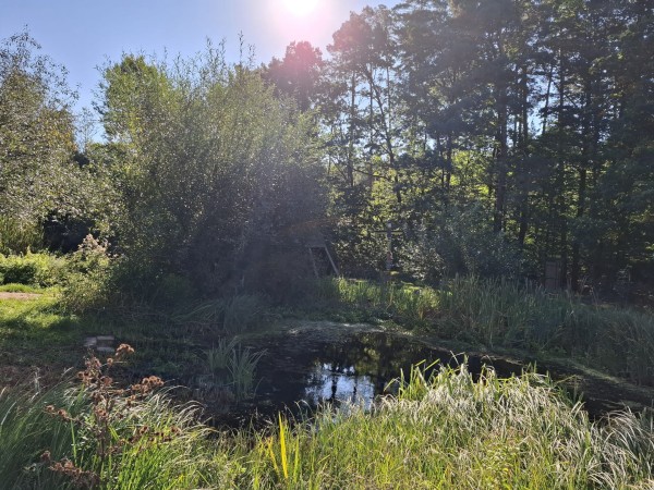 IMG-20250923-WA0003.jpg, 117kB