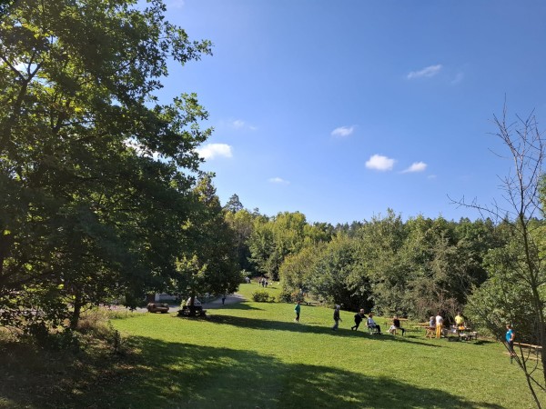 IMG-20250923-WA0004.jpg, 95kB