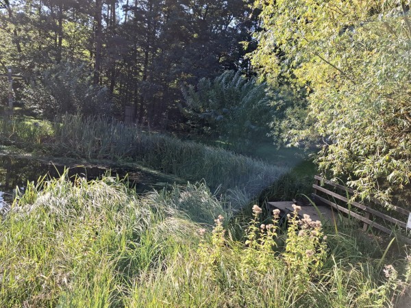 IMG-20250923-WA0006.jpg, 146kB