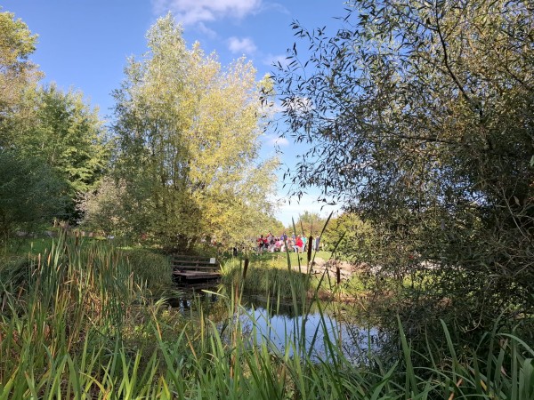 IMG-20250923-WA0008.jpg, 138kB