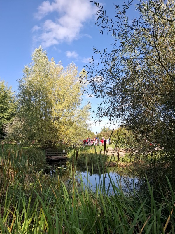 IMG-20250923-WA0009.jpg, 224kB