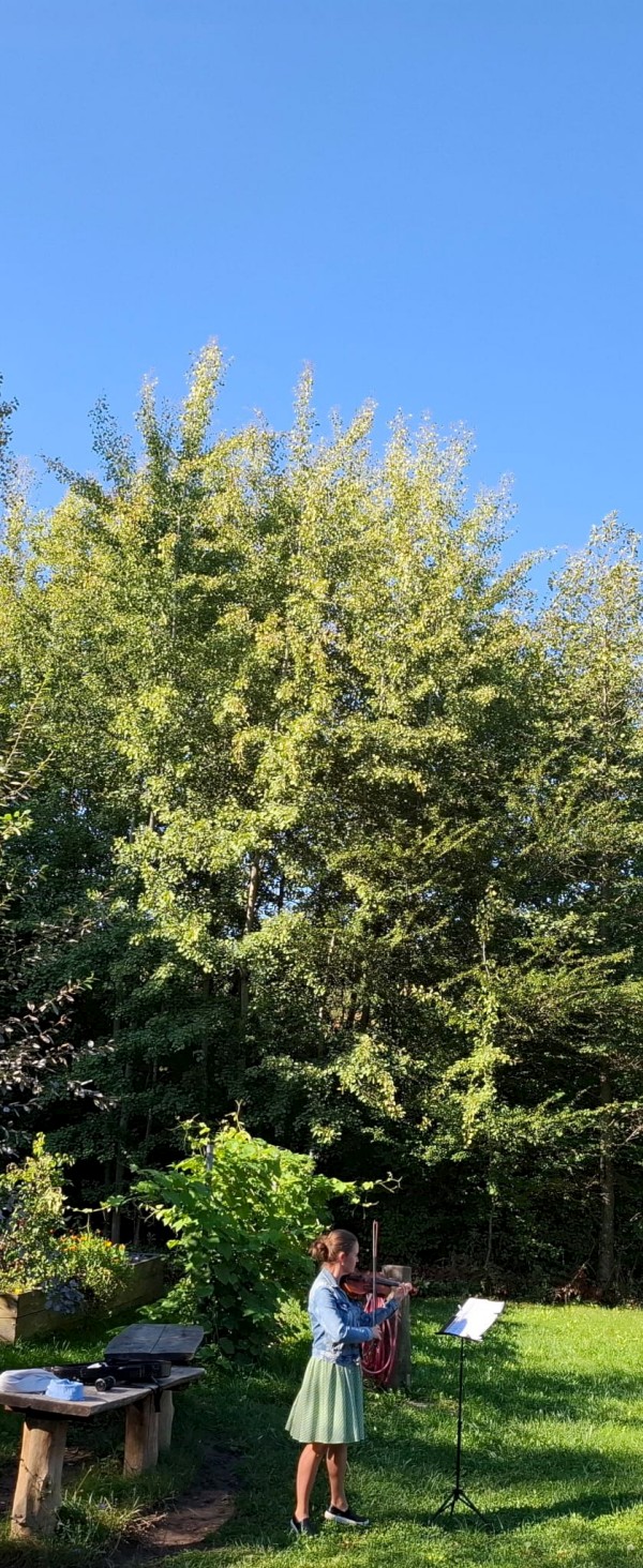 IMG-20250923-WA0015.jpg, 337kB