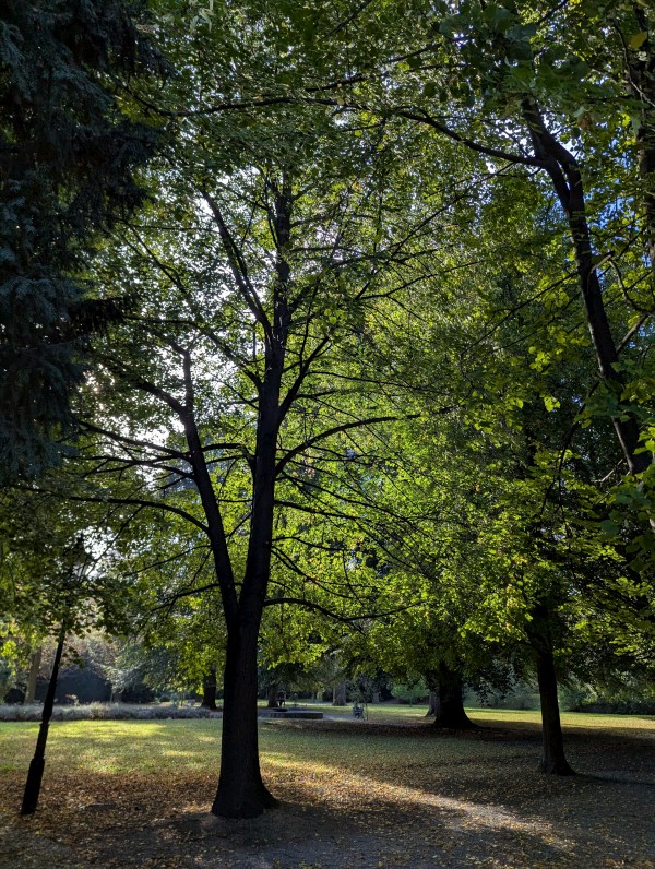 PXL_20250930_073838211.jpg, 255kB