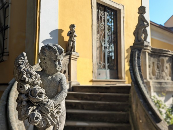 PXL_20250930_073924411.PORTRAIT.jpg, 66kB