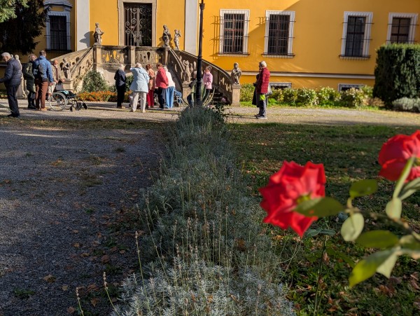 PXL_20250930_074317107.PORTRAIT.jpg, 116kB