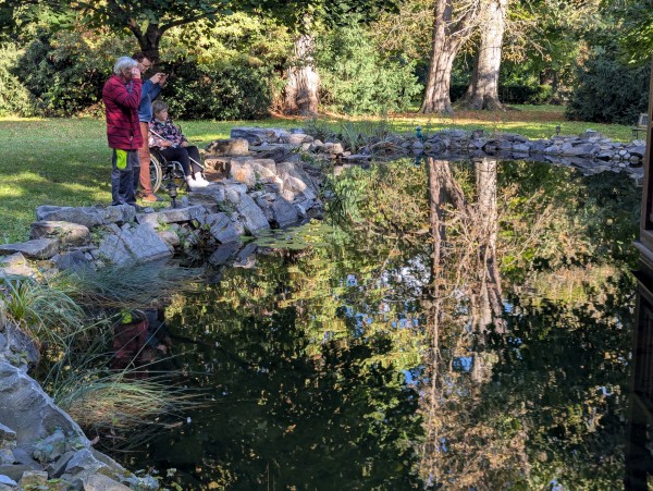 PXL_20250930_075647664.jpg, 145kB