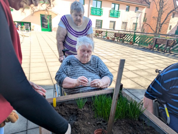 PXL_20260313_124326589.jpg, 92kB