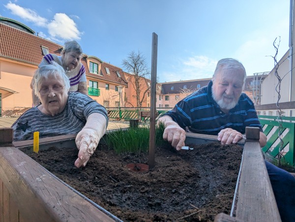 PXL_20260313_124345772.jpg, 89kB