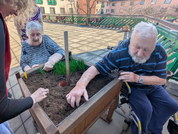 PXL_20260313_124521765.jpg, 108kB