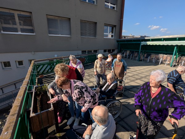 PXL_20260313_125153677.jpg, 88kB