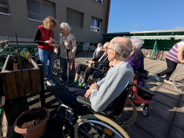 PXL_20260313_125259607.jpg, 86kB