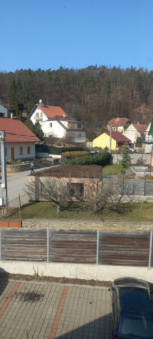 20260311_140353.jpg, 241kB