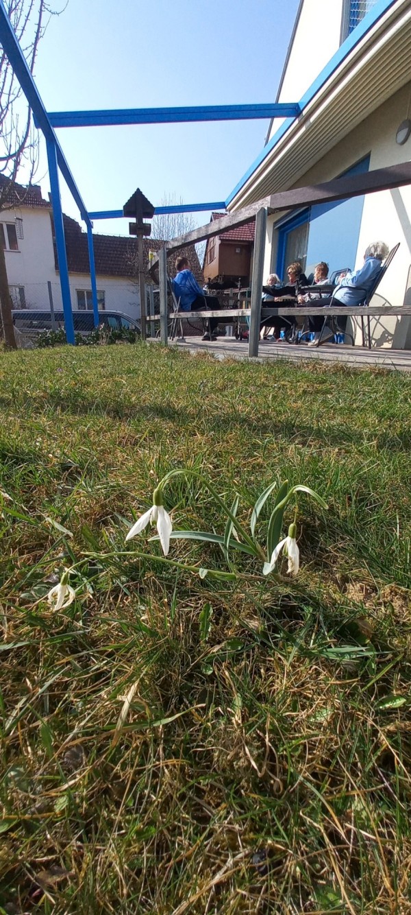 20260311_141203.jpg, 334kB