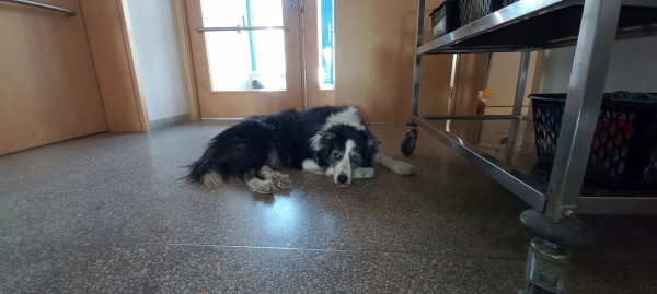 20260311_141509.jpg, 40kB