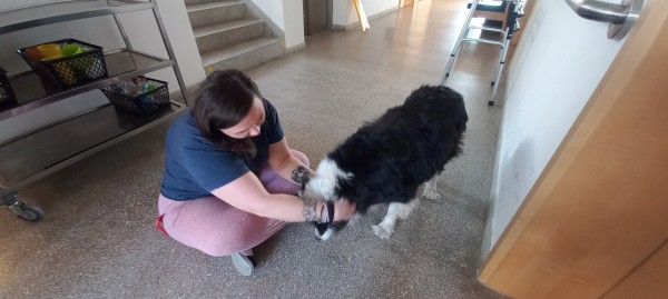 20260311_141616.jpg, 41kB