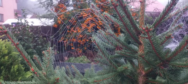 20260918_063424.jpg, 68kB